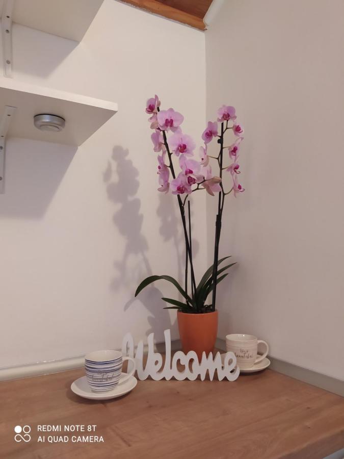 Apartments Ante Трибунь Экстерьер фото